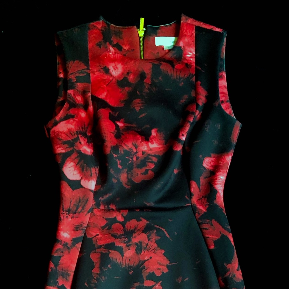 Sleek Calvin Klein Dress